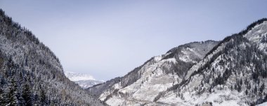 kar hava görünümünü orman güneşli kış gününde kaplı.