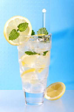 kokteyl nane yaprağı ve limon dilimleri cam, yakın çekim  