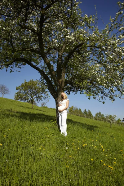 Glückliche Schwangere Frau Stülpte Ihren Bauch Beiden Händen Während Sie — Stockfoto