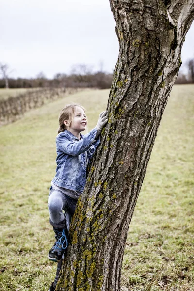 Mooi Meisje Klimmen Boom Het Voorjaar Park — Stockfoto