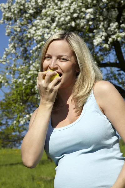 Mujer Embarazada Feliz Comer Manzana Prado Mientras Que Pie Cerca —  Fotos de Stock