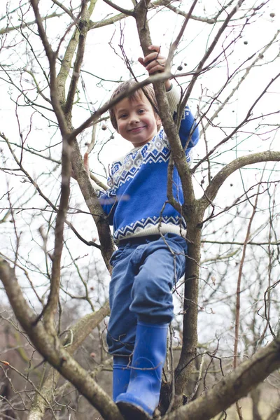 Schattig Jongetje Klimmen Boom Tuin — Stockfoto