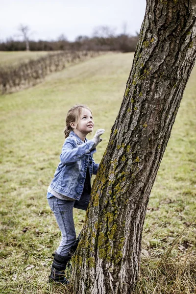 Mooi Meisje Klimmen Boom Het Voorjaar Park — Stockfoto