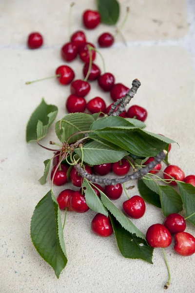 Pile Red Ripe Cherries Green Leaves Tile Close — Stock Photo, Image