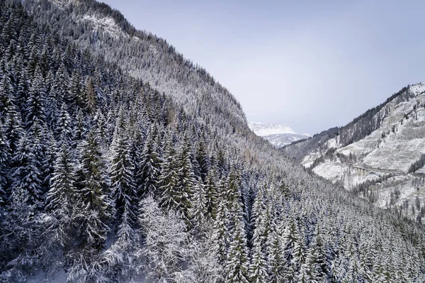 Kar Hava Görünümünü Orman Güneşli Kış Gününde Kaplı — Stok fotoğraf
