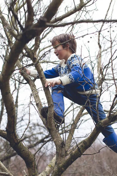 Schattig Jongetje Klimmen Boom Tuin — Stockfoto