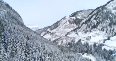 havadan görünümü kar kış gününde orman kaplı