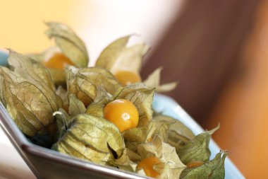 egzotik physalis meyve kase üzerinde arka plan, yakın çekim bulanık 