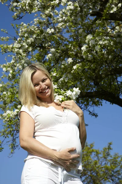 Mujer Embarazada Feliz Sosteniendo Rama Árbol Floreciente Pie Prado Día —  Fotos de Stock