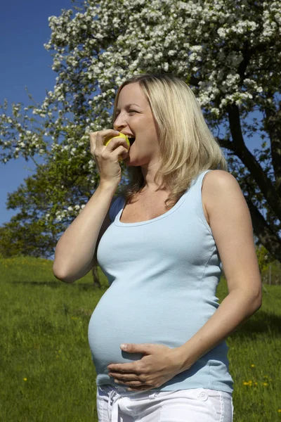 Mujer Embarazada Feliz Comer Manzana Prado Mientras Que Pie Cerca —  Fotos de Stock