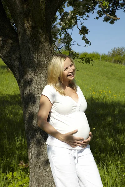 Happy Těhotná Žena Opírající Kmen Stromu Stát Louce Slunečný Den — Stock fotografie