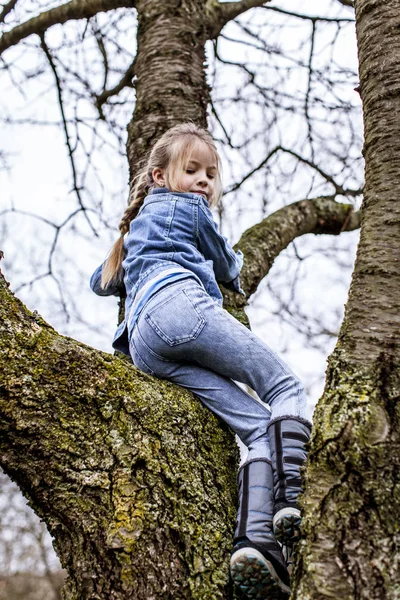 Kleines Hübsches Mädchen Klettert Auf Baum Frühlingspark — Stockfoto