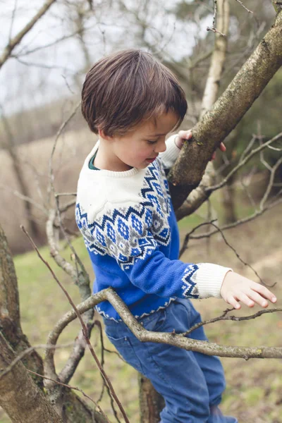 little cute boy climbing on tree in garden