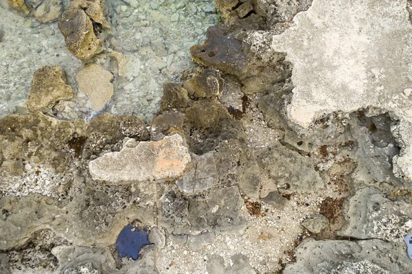 石头海岸鸟瞰在夏天天 克罗地亚 — 图库照片