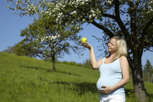 Mujer Embarazada Feliz Comer Manzana Prado Mientras Que Pie Cerca —  Fotos de Stock