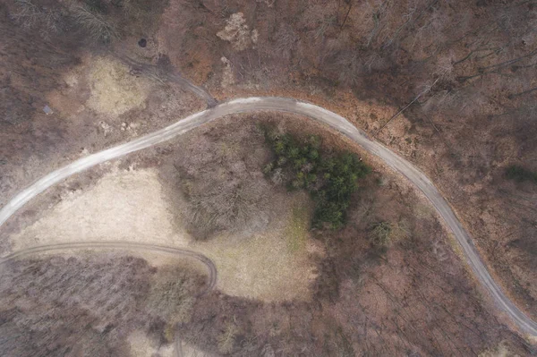 aerial drone flight view over forest and dirt road in forest in Austria