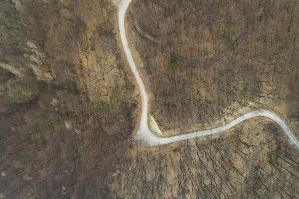 Visão Aérea Voo Drones Sobre Floresta Estrada Terra Floresta Áustria — Fotografia de Stock
