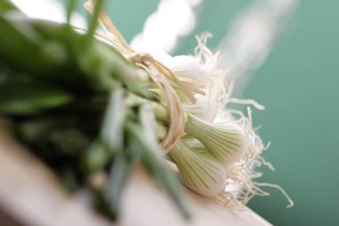 taze demet yeşil soğan, yakın çekim 