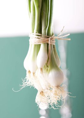 taze demet yeşil soğan, yakın çekim 