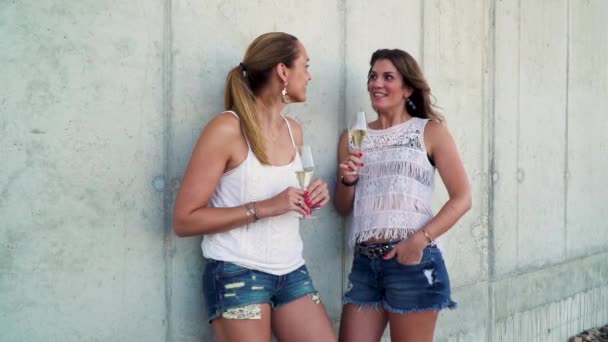 Girlfriends Talking Drinking Sparkling Wine While Standing Wall — Stock Video