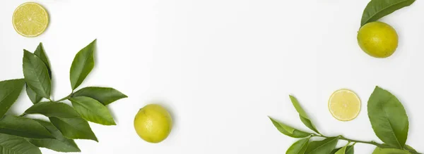Limes Green Twigs White Crumpled Background — Stock Photo, Image