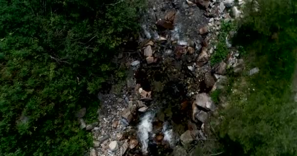 Потоку Протікає Серед Скель Ущелині Австрія — стокове відео