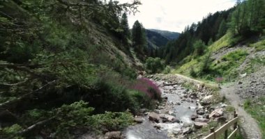 gorge, Avusturya kayalarda arasında akan dere  