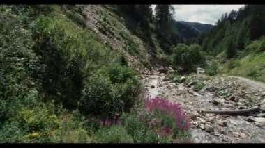 gorge, Avusturya kayalarda arasında akan dere  