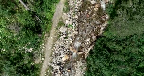 Stream Stromen Tussen Rotsen Gorge Oostenrijk — Stockvideo