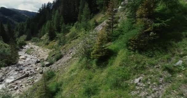 Córrego Fluindo Entre Rochas Desfiladeiro Áustria — Vídeo de Stock
