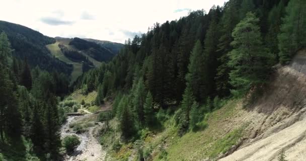 Stream Flyter Bland Klipporna Ravinen Österrike — Stockvideo