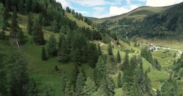 奥地利峡谷的绿色森林全景 — 图库视频影像