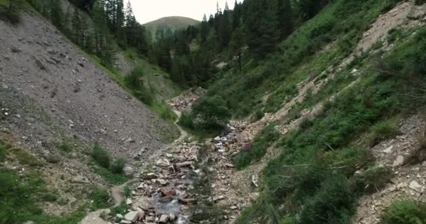 Stream Stromen Tussen Rotsen Gorge Oostenrijk — Stockvideo