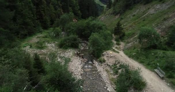 Arroyo Que Fluye Entre Rocas Garganta Austria — Vídeo de stock