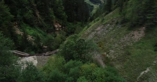 Panorámás Kilátás Nyílik Zöld Erdő Gorge Ausztria — Stock videók