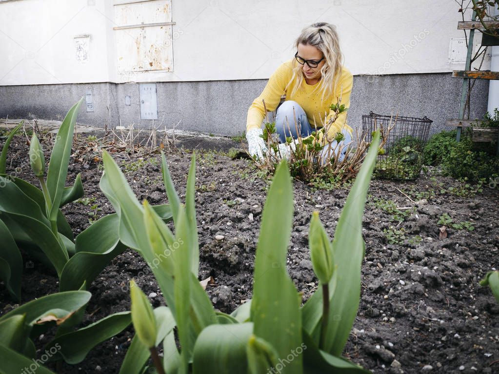 young pretty woman with in yellow sweater and glasses weeding weeds on flower bed in garden 