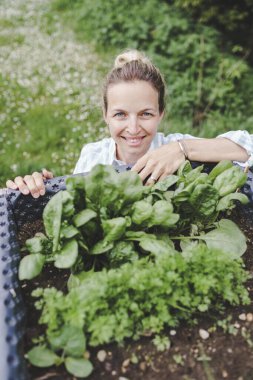 beautiful woman posing next to raised garden bed and her fresh vegetables clipart