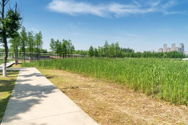 Bahar Parkı ve modern şehir