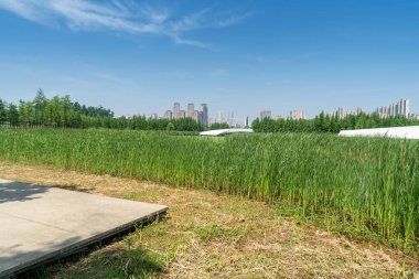 Bahar Parkı ve modern şehir