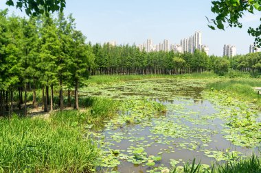 Bahar Parkı ve modern şehir