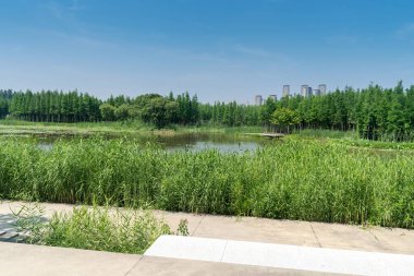 Bahar Parkı ve modern şehir