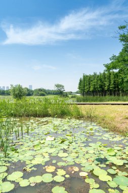 Bahar Parkı ve modern şehir