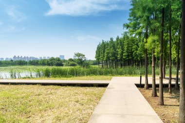 Çin 'deki Şehir Parkı yolu.