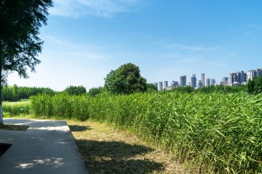 Bahar Parkı ve modern şehir