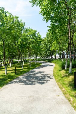 Çin 'deki Şehir Parkı yolu.