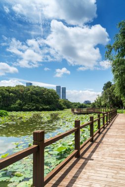 Bahar Parkı ve modern şehir