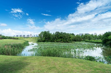 Bahar Parkı ve modern şehir