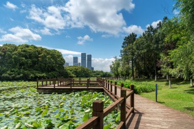Bahar Parkı ve modern şehir