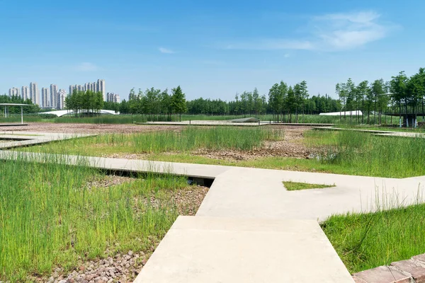 Bahar Parkı ve modern şehir