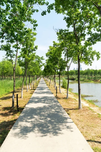 Çin 'deki Şehir Parkı yolu.